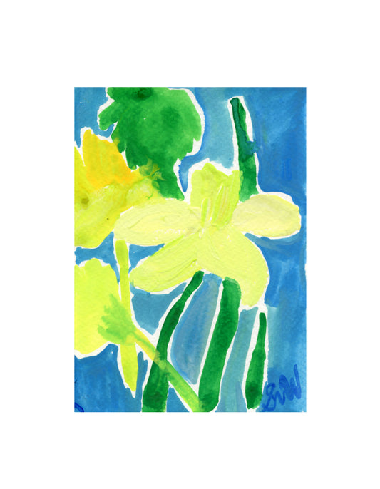 Narcissus 09