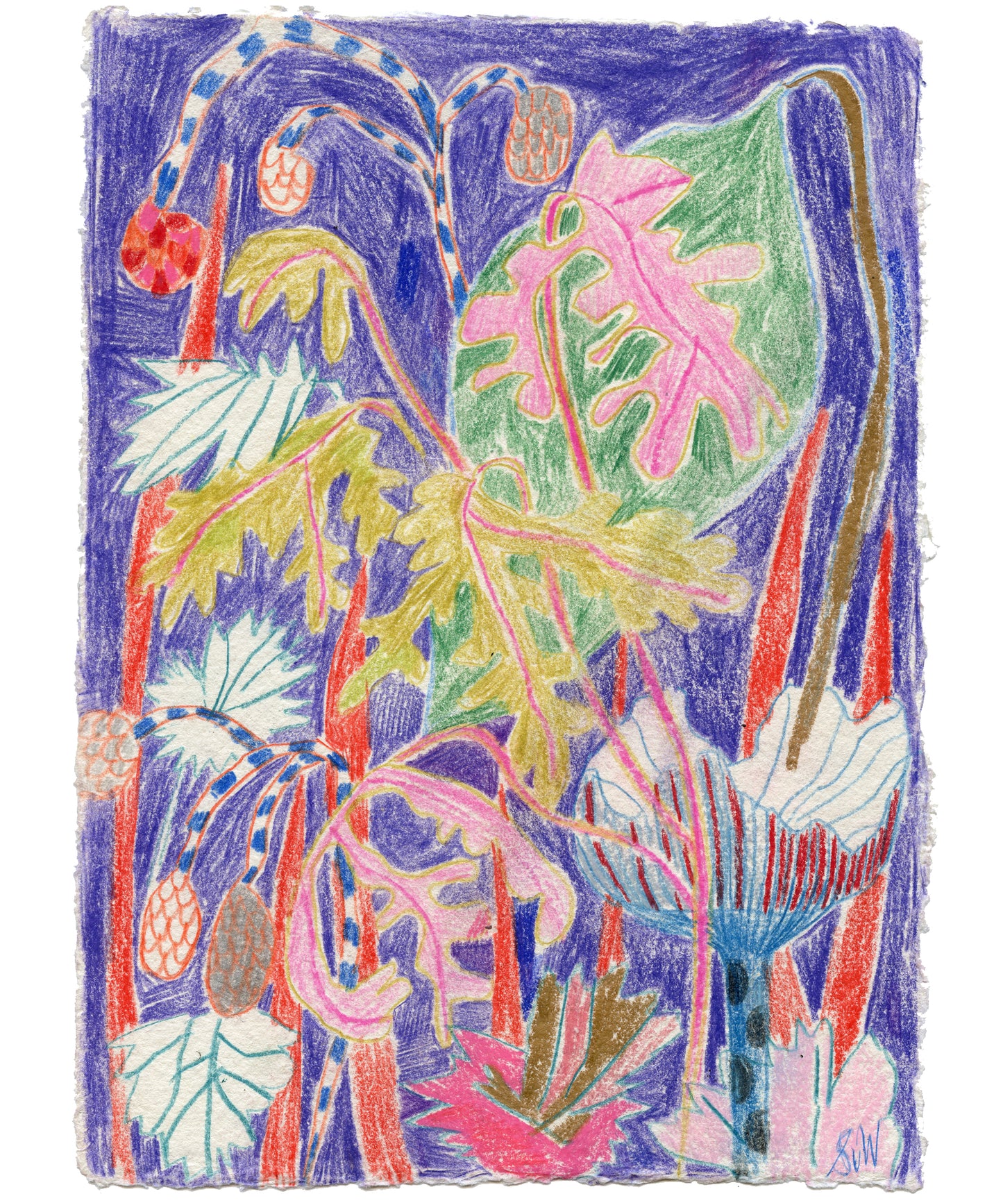 Pencildrawing 'Goodnight Garden'