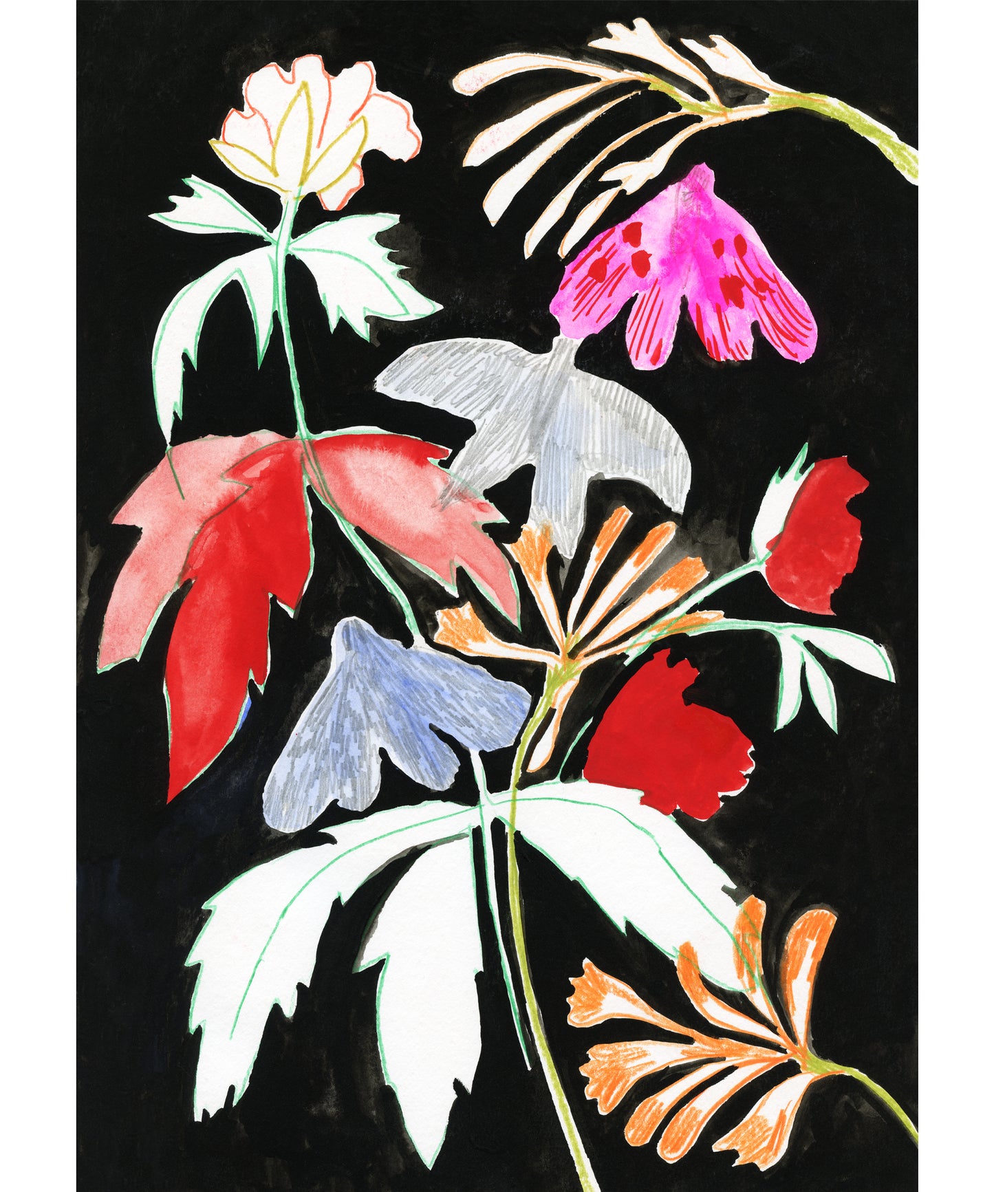 Fine Art Print Bloom by night